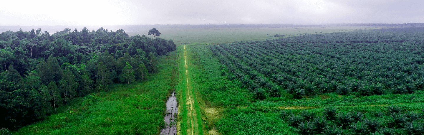 share-prices-1440x460-1