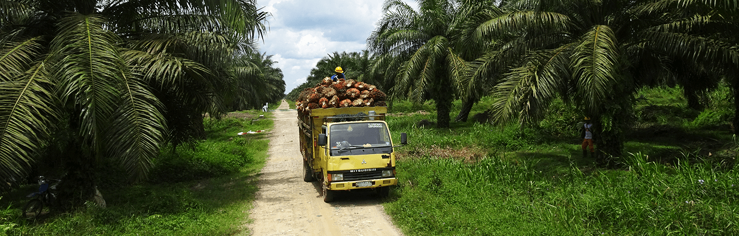 Truck containing fresh fruit bunches
