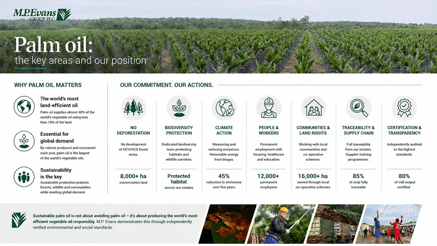 Thumbnail M.P. Evans palm oil summary