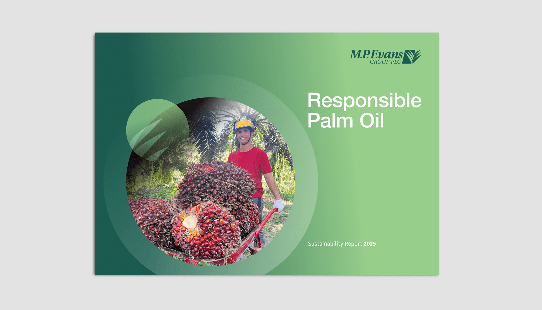 Sustainability Report 2025 thumbnail