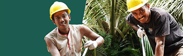 M.P. Evans Group PLC interim 2026